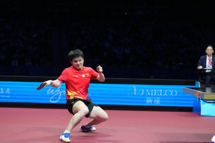 樊振东连扳三局逆转王楚钦 樊振东连扳三局逆转王楚钦
