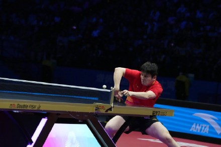 樊振东连扳三局逆转王楚钦 樊振东连扳三局逆转王楚钦