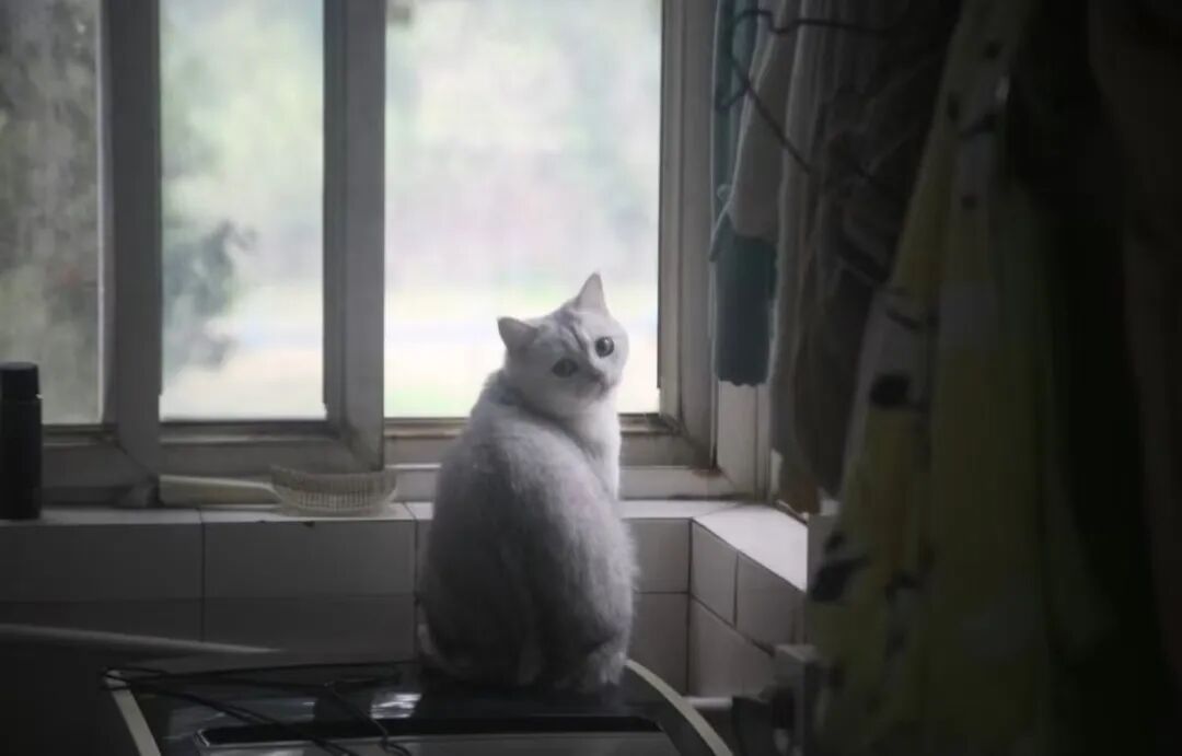 “诡秘你别太感动，我给你拍了张人生照片……”