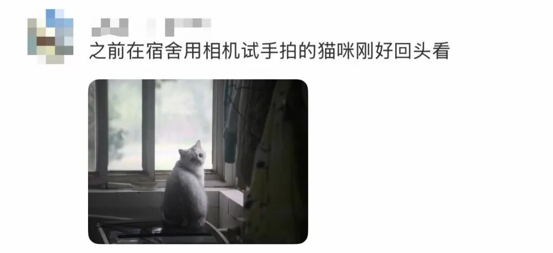 “诡秘你别太感动，我给你拍了张人生照片……”