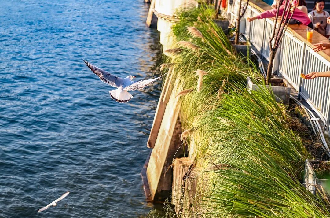 抓紧晾晒！重庆晴好天气还将持续两天，雨水又要来了