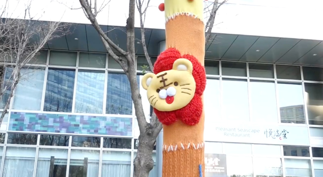 北京再现冬季“名场面” ！这些树竟然比我还时髦——