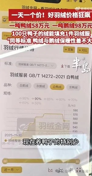 价格暴涨！出厂价已近千元！300元以下还能买到真羽绒服吗？