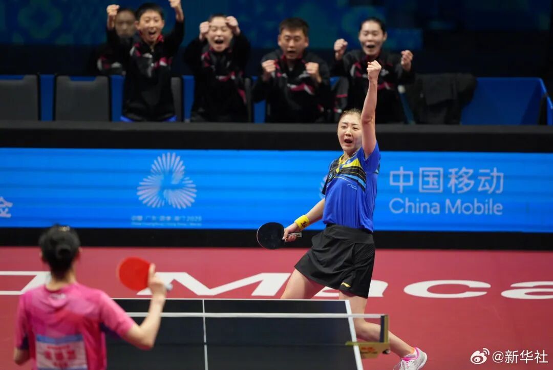 陈梦,发长文 陈梦,发长文