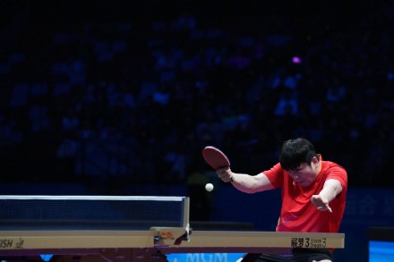 樊振东连扳三局逆转王楚钦 樊振东连扳三局逆转王楚钦