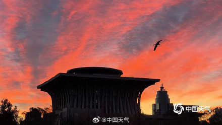 惊艳朝霞上线！北京清晨橘粉霞光治愈上班路