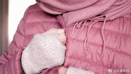 鸭绒价格涨至58万元/吨，国产羽绒服迈入千元时代