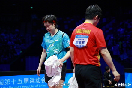 樊振东3比1王楚钦