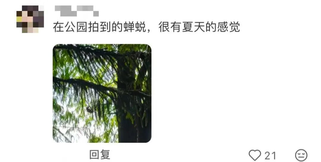 “诡秘你别太感动，我给你拍了张人生照片……”