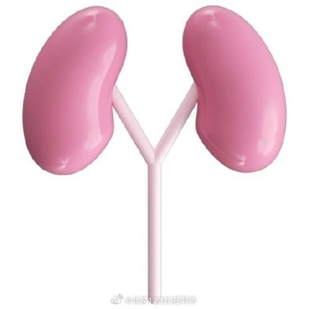 什么是肾积水？为什么会出现肾积水？