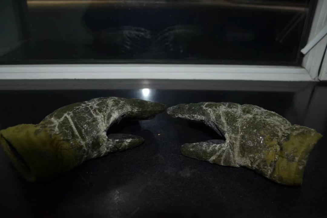 在中国最北火车站，驶出一辆辆装满煤炭的列车