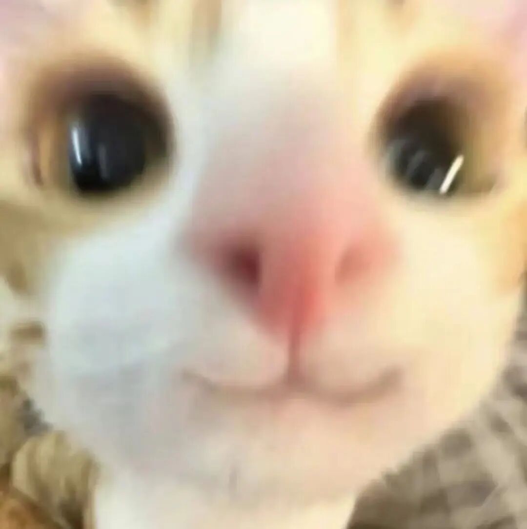 “诡秘你别太感动，我给你拍了张人生照片……”