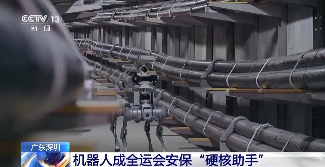 十五运会上这几个“工作人员”一出场,全场沸腾! 十五运会上这几个“工作人员”一出场,全场沸腾!