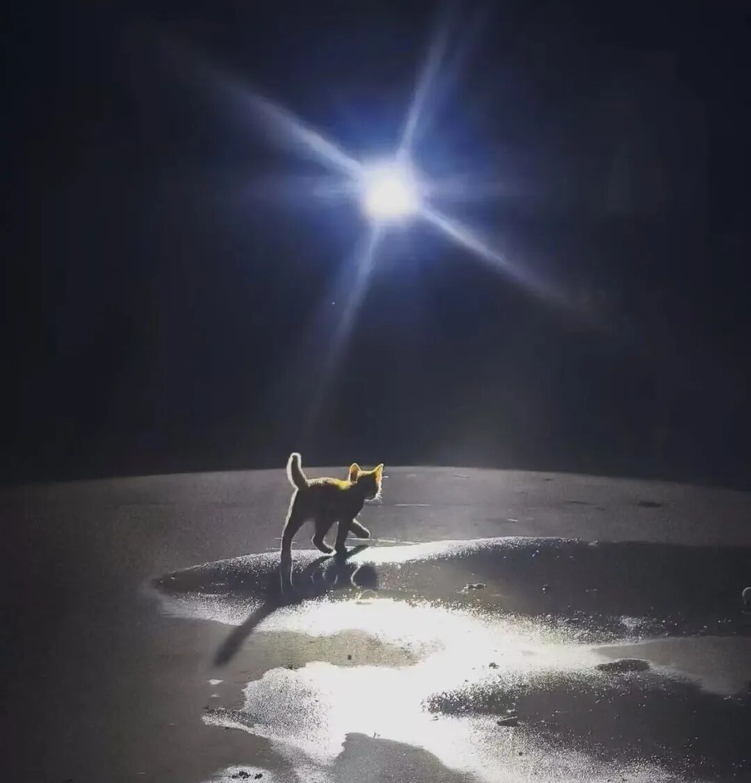 “诡秘你别太感动，我给你拍了张人生照片……”