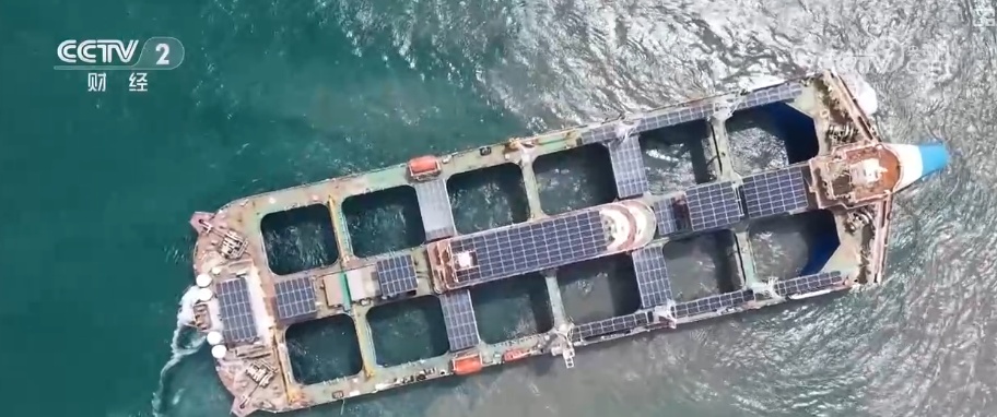 创新成果众多！智慧化养殖平台赋能 我国海水养殖业迈向深远海