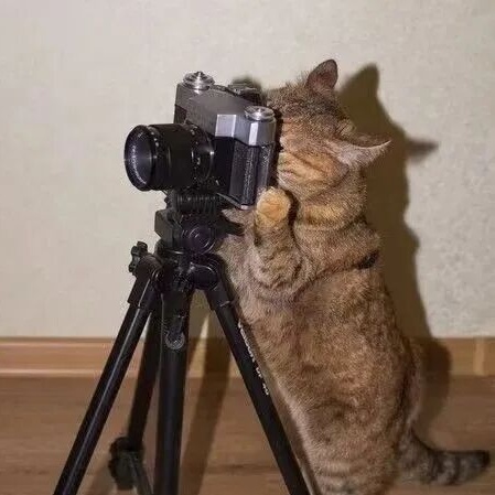 “诡秘你别太感动，我给你拍了张人生照片……”