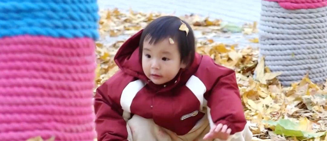 北京再现冬季“名场面” ！这些树竟然比我还时髦——