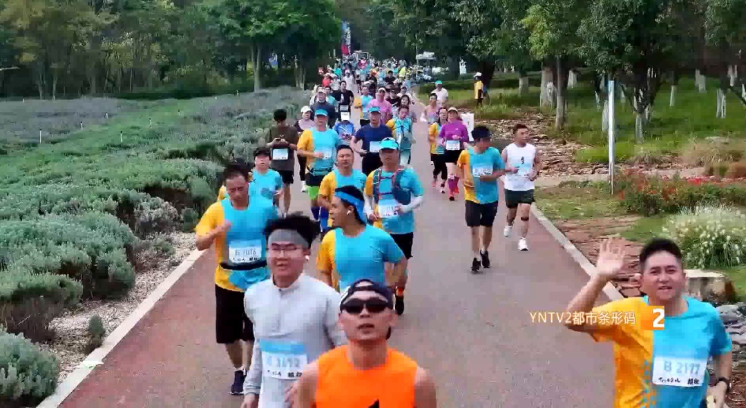 跑步和久坐到底哪个更伤膝盖？骨科医生揭秘真相！