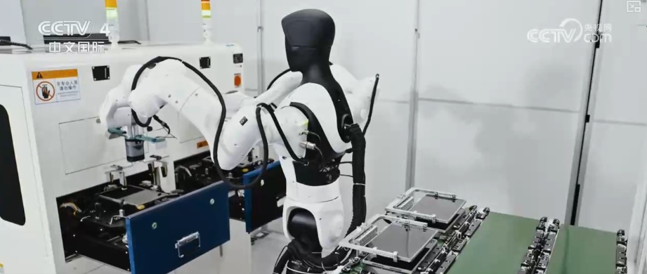 成都人形机器人创新中心董事长张睿睿：攻坚“大脑”技术 引领机器人产业智能变革