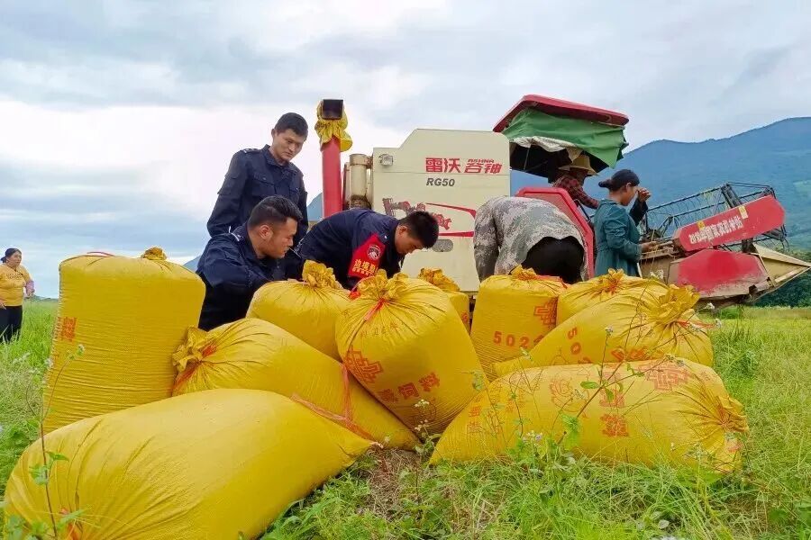 1个边境检查站，9名一等功臣！