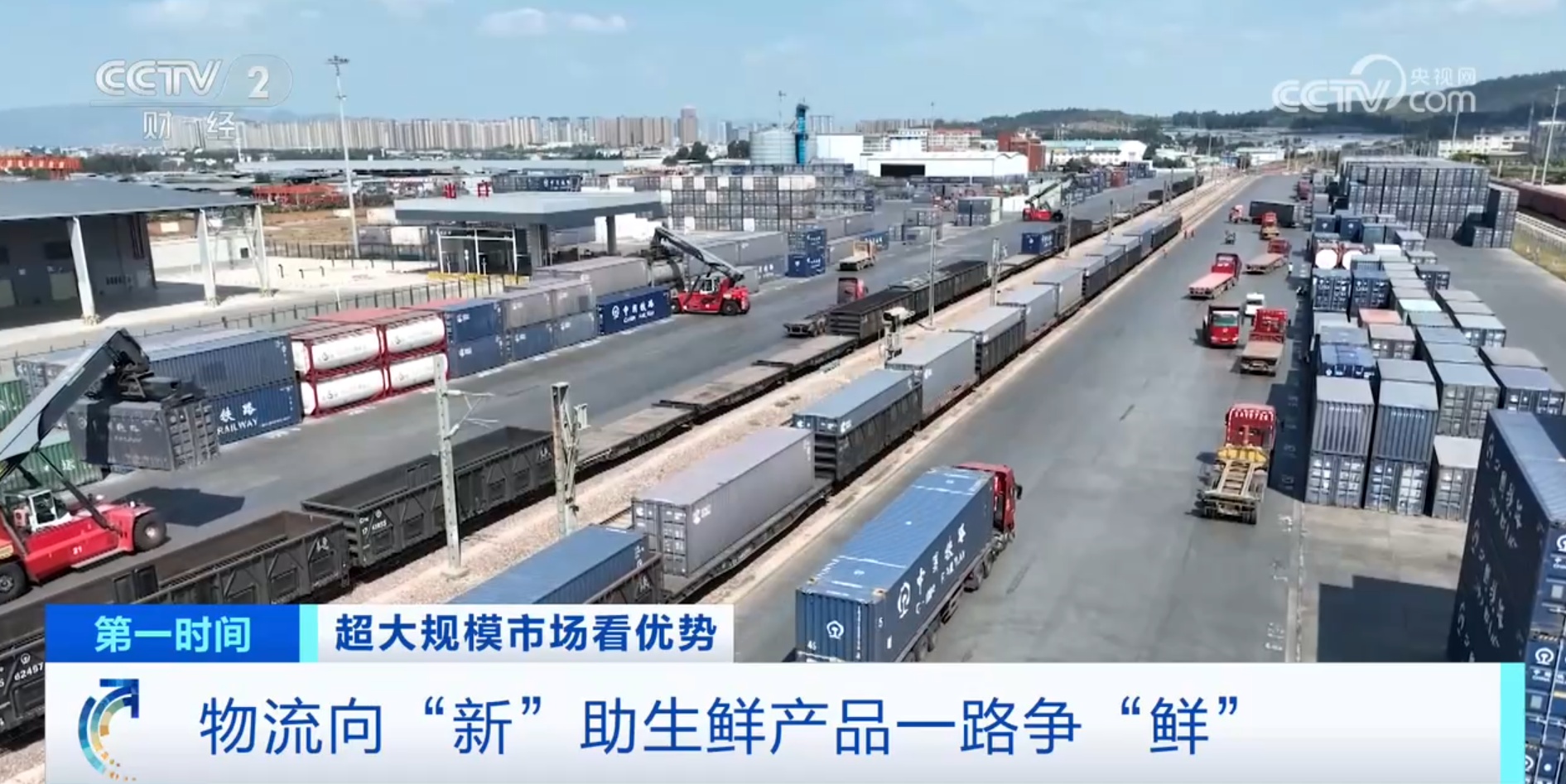 跟着鲜花“跑”物流！大市场如何“织”出大网络？