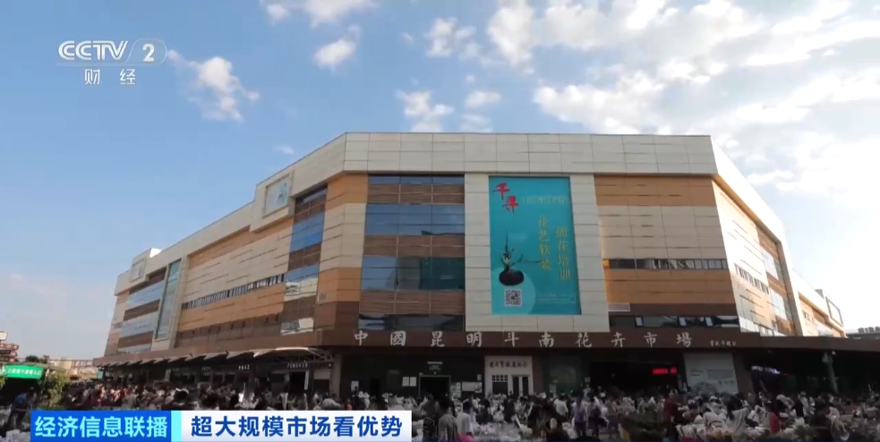 世界之最！这个超大规模市场，加速狂飙→