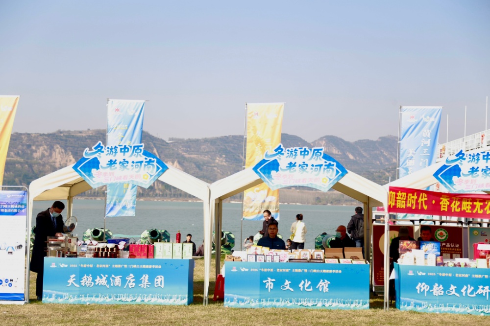 冬游中原好风光，来和天鹅一起过冬吧！