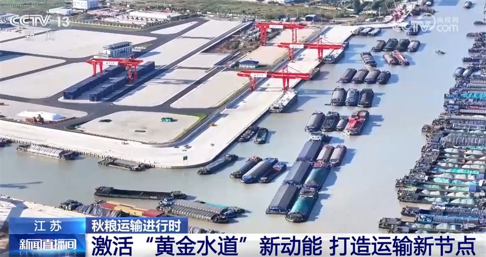 “铁海联运”“黄金水道”按下秋粮运输“加速键” 为全国粮食安全筑牢坚实屏障 “铁海联运”“黄金水道”按下秋粮运输“加速键” 为全国粮食安全筑牢坚实屏障