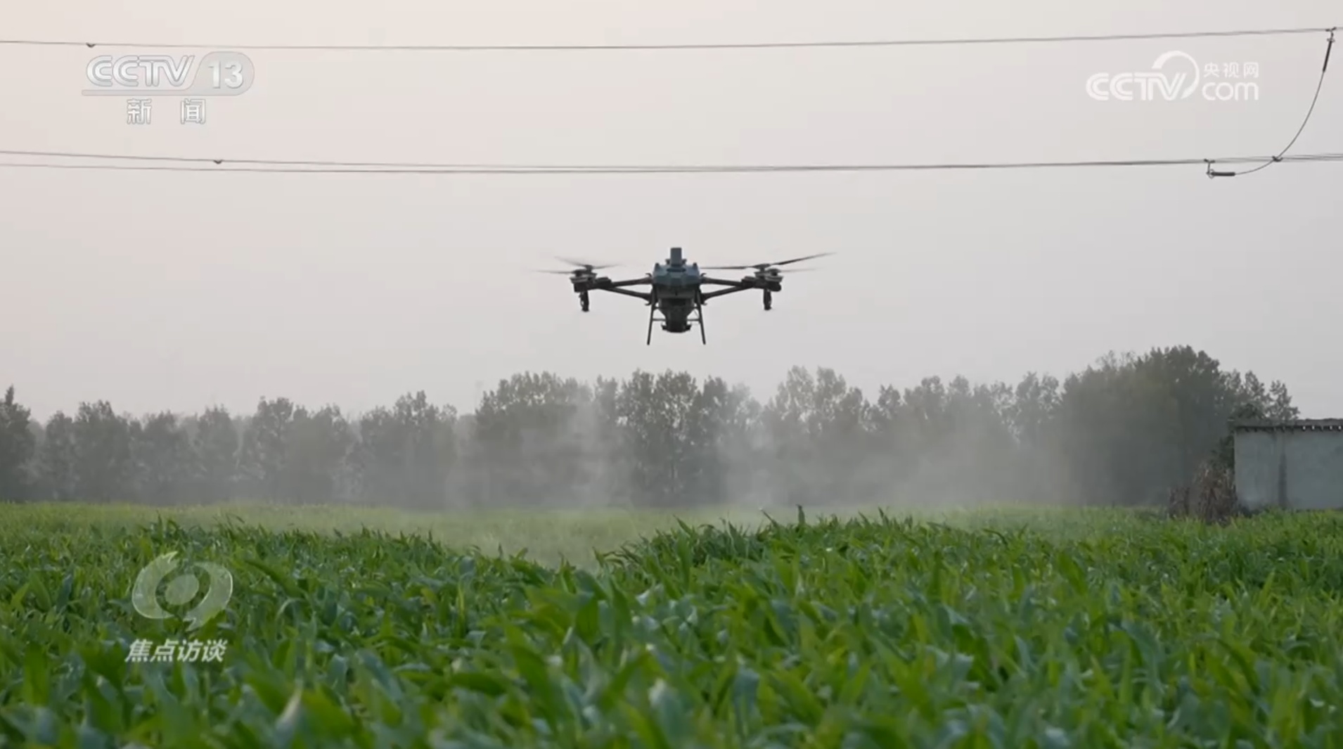 争分夺秒保秋粮、稳丰收