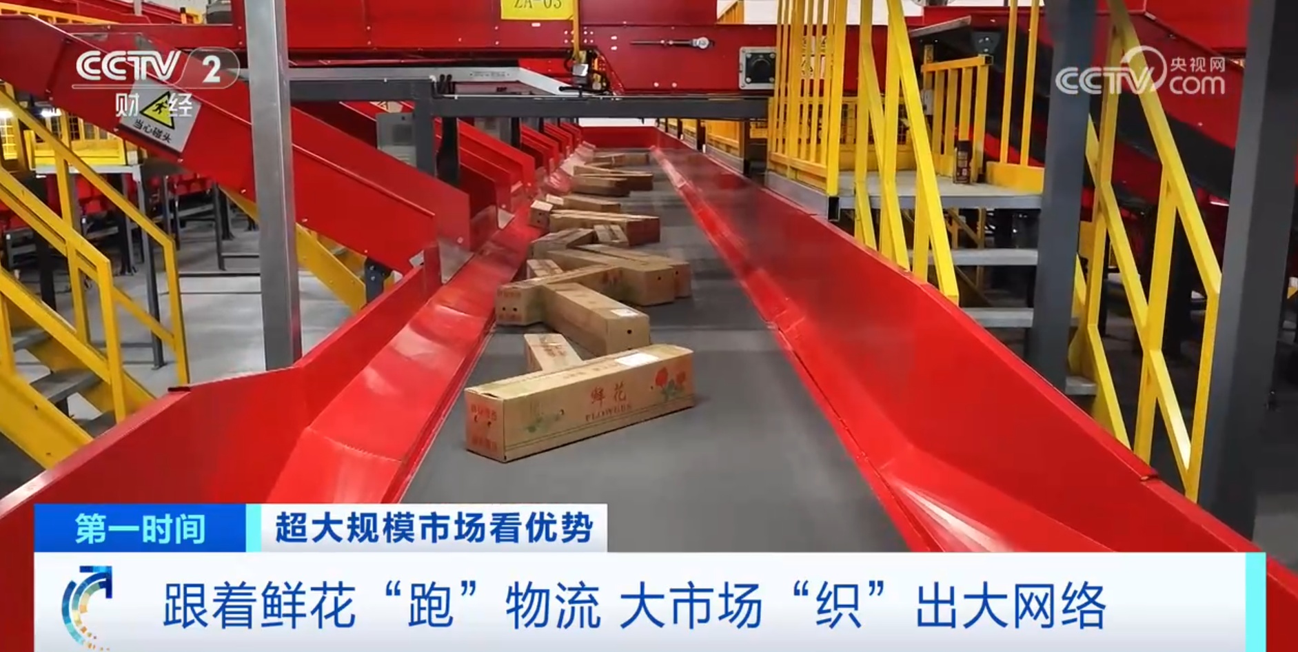 跟着鲜花“跑”物流！大市场如何“织”出大网络？