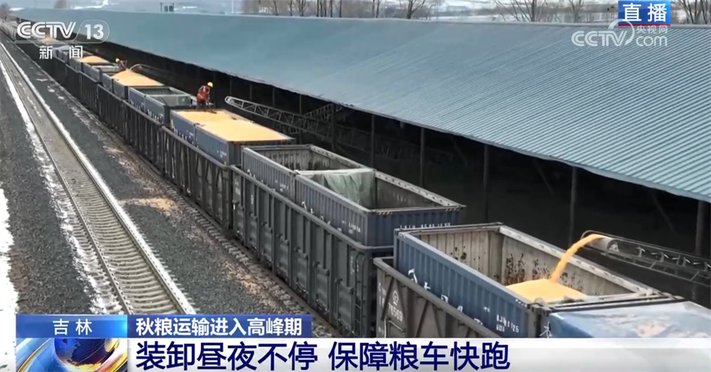 “铁海联运”“黄金水道”按下秋粮运输“加速键” 为全国粮食安全筑牢坚实屏障 “铁海联运”“黄金水道”按下秋粮运输“加速键” 为全国粮食安全筑牢坚实屏障