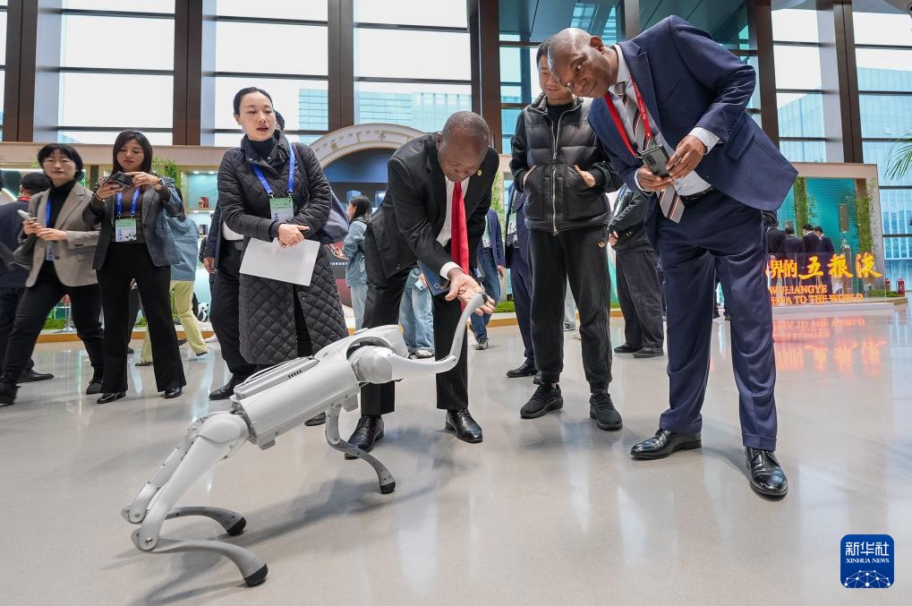 2025全球熊猫伙伴大会开幕 2025全球熊猫伙伴大会开幕