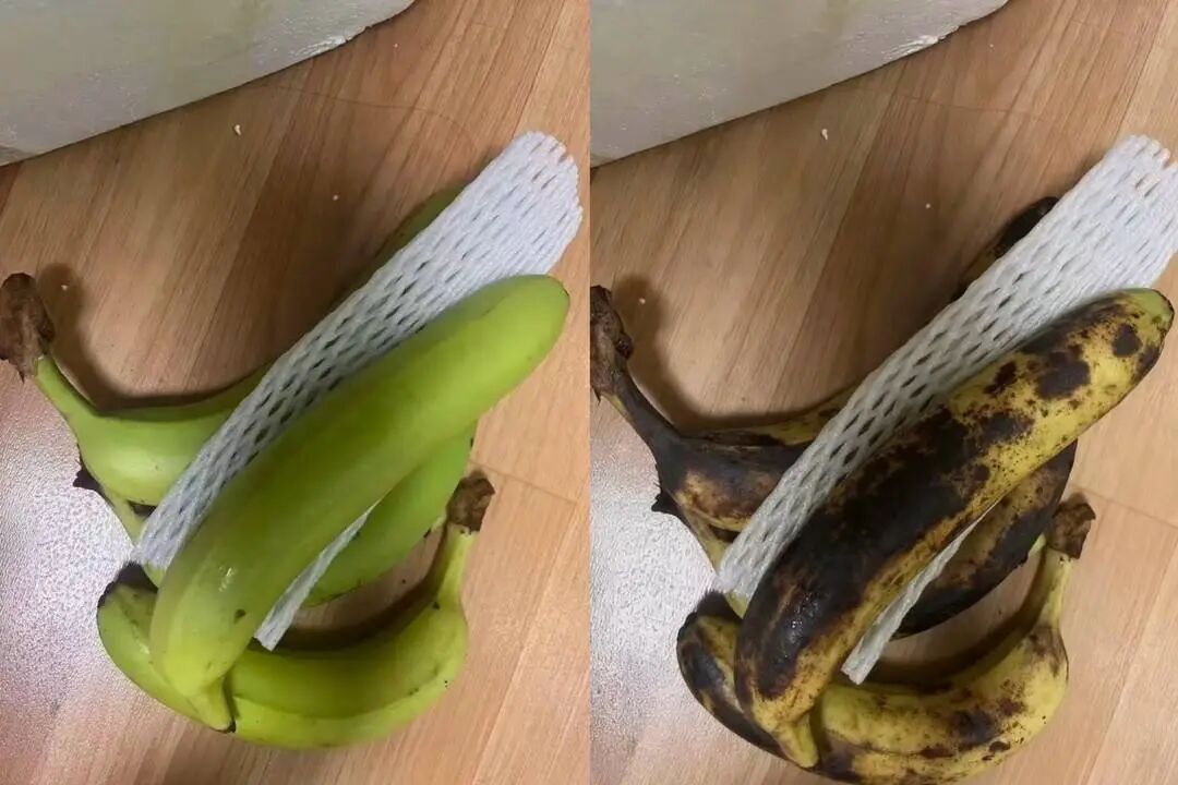 用AI假图骗商家“仅退款”？这种“小聪明”可耍不得！