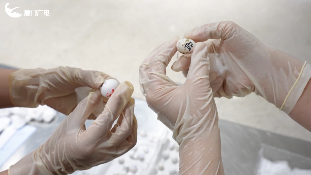 厦门海关查获!76枚!竟然夹藏在内衣中…… 厦门海关查获!76枚!竟然夹藏在内衣中……