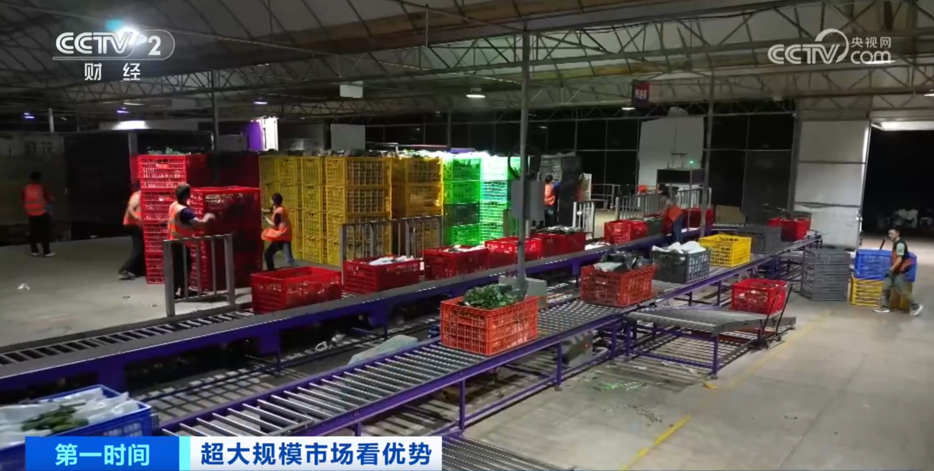 跟着鲜花“跑”物流！大市场如何“织”出大网络？