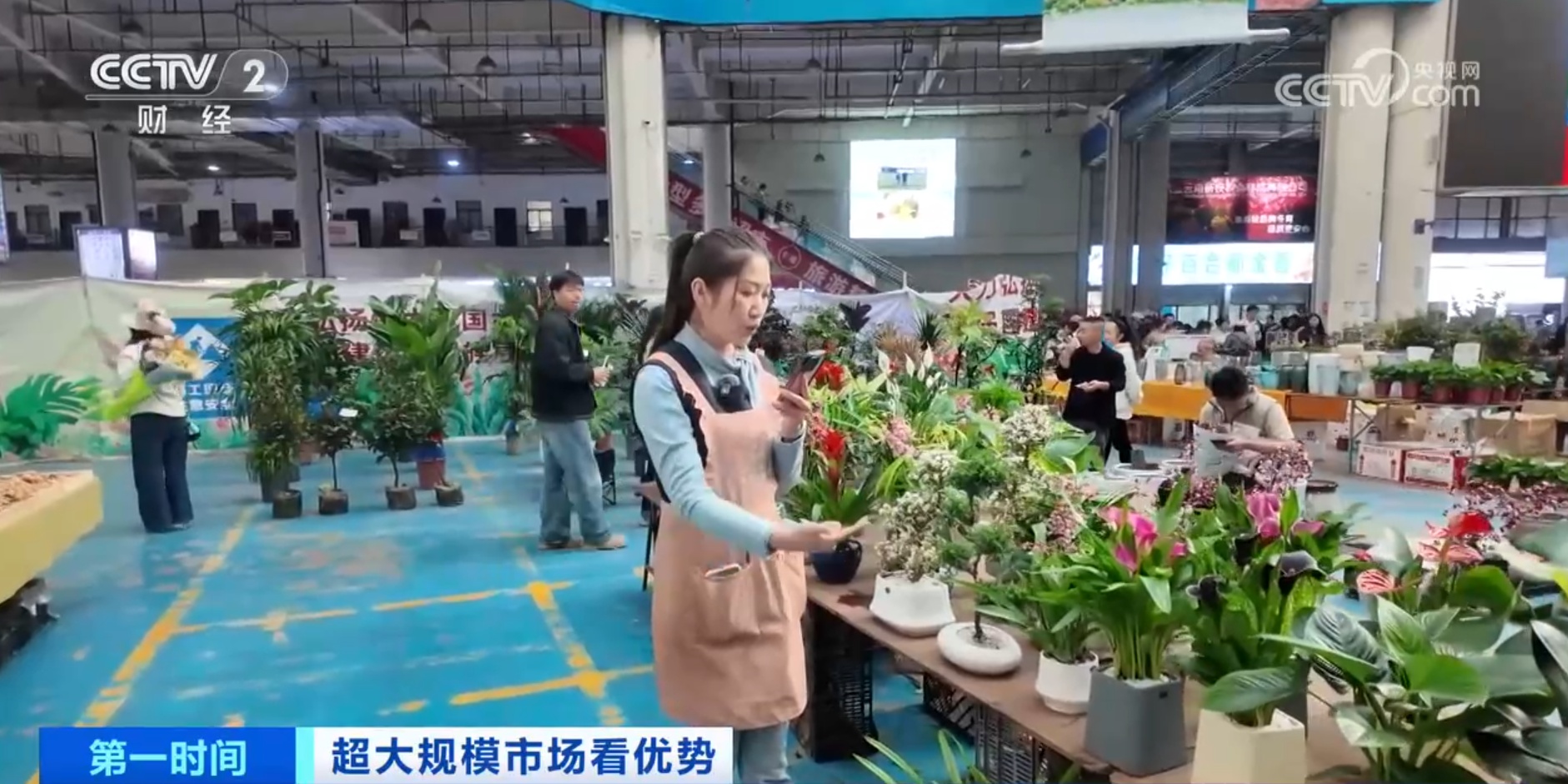 跟着鲜花“跑”物流！大市场如何“织”出大网络？