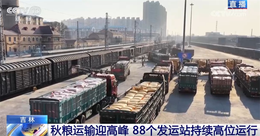 “铁海联运”“黄金水道”按下秋粮运输“加速键” 为全国粮食安全筑牢坚实屏障 “铁海联运”“黄金水道”按下秋粮运输“加速键” 为全国粮食安全筑牢坚实屏障
