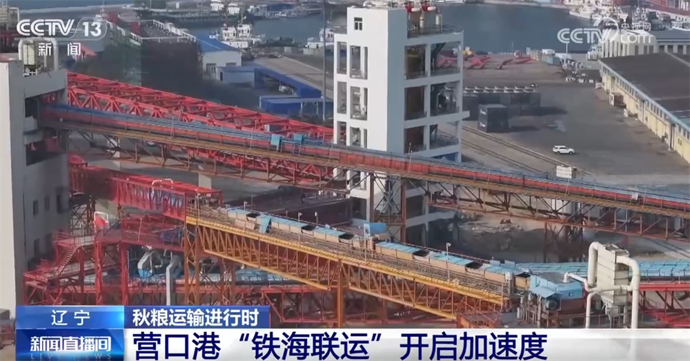 “铁海联运”“黄金水道”按下秋粮运输“加速键” 为全国粮食安全筑牢坚实屏障 “铁海联运”“黄金水道”按下秋粮运输“加速键” 为全国粮食安全筑牢坚实屏障