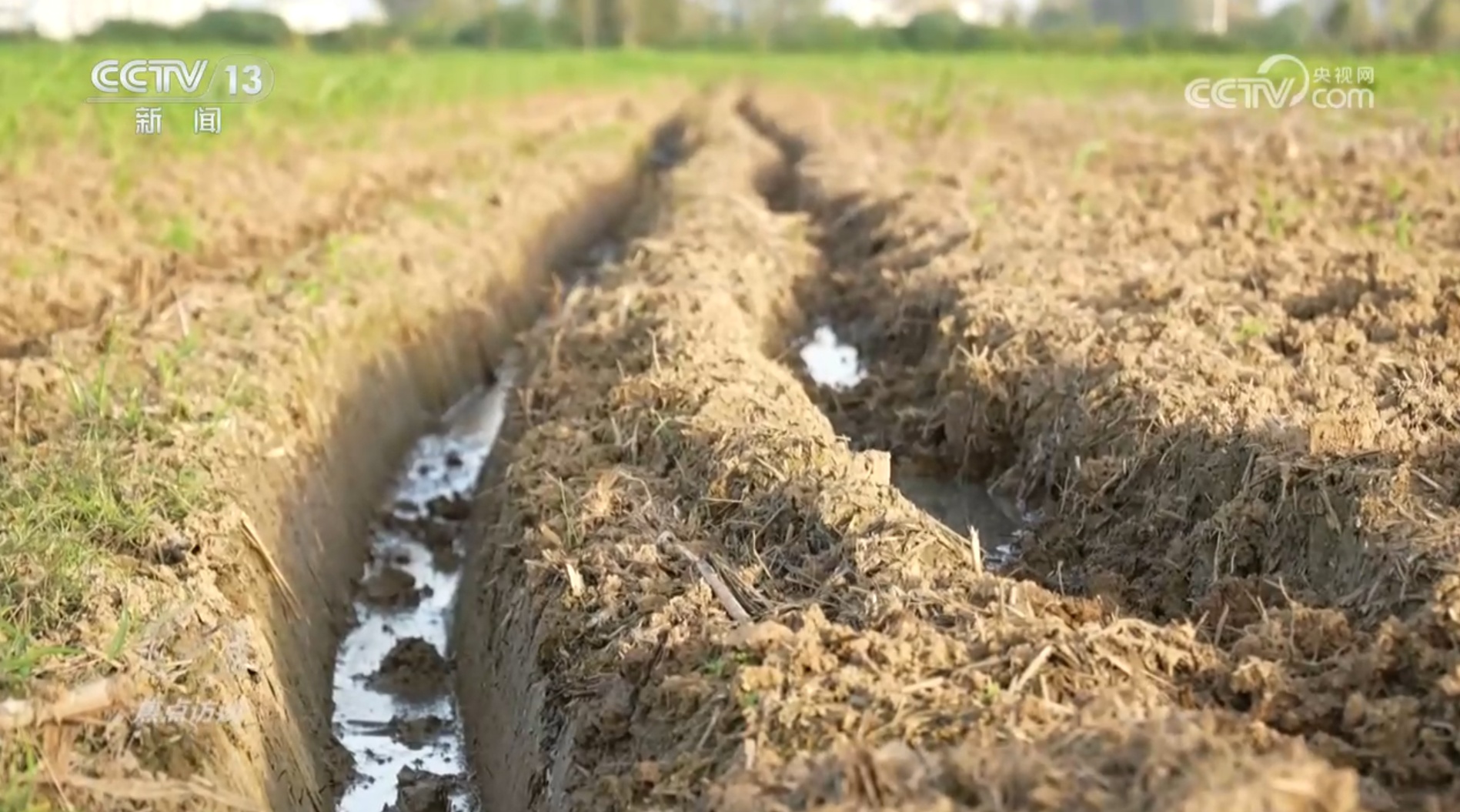 争分夺秒保秋粮、稳丰收