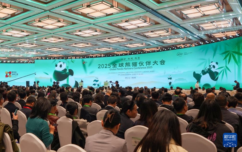 2025全球熊猫伙伴大会开幕 2025全球熊猫伙伴大会开幕