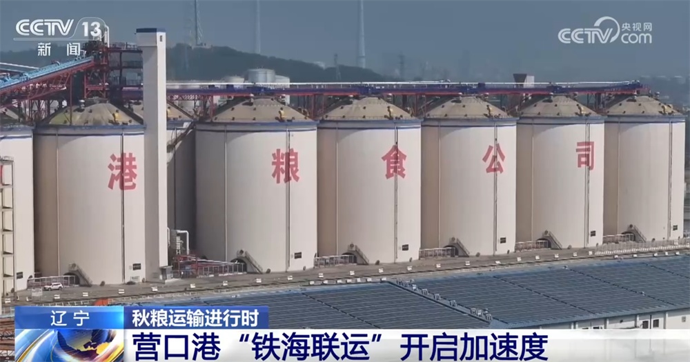 “铁海联运”“黄金水道”按下秋粮运输“加速键” 为全国粮食安全筑牢坚实屏障 “铁海联运”“黄金水道”按下秋粮运输“加速键” 为全国粮食安全筑牢坚实屏障