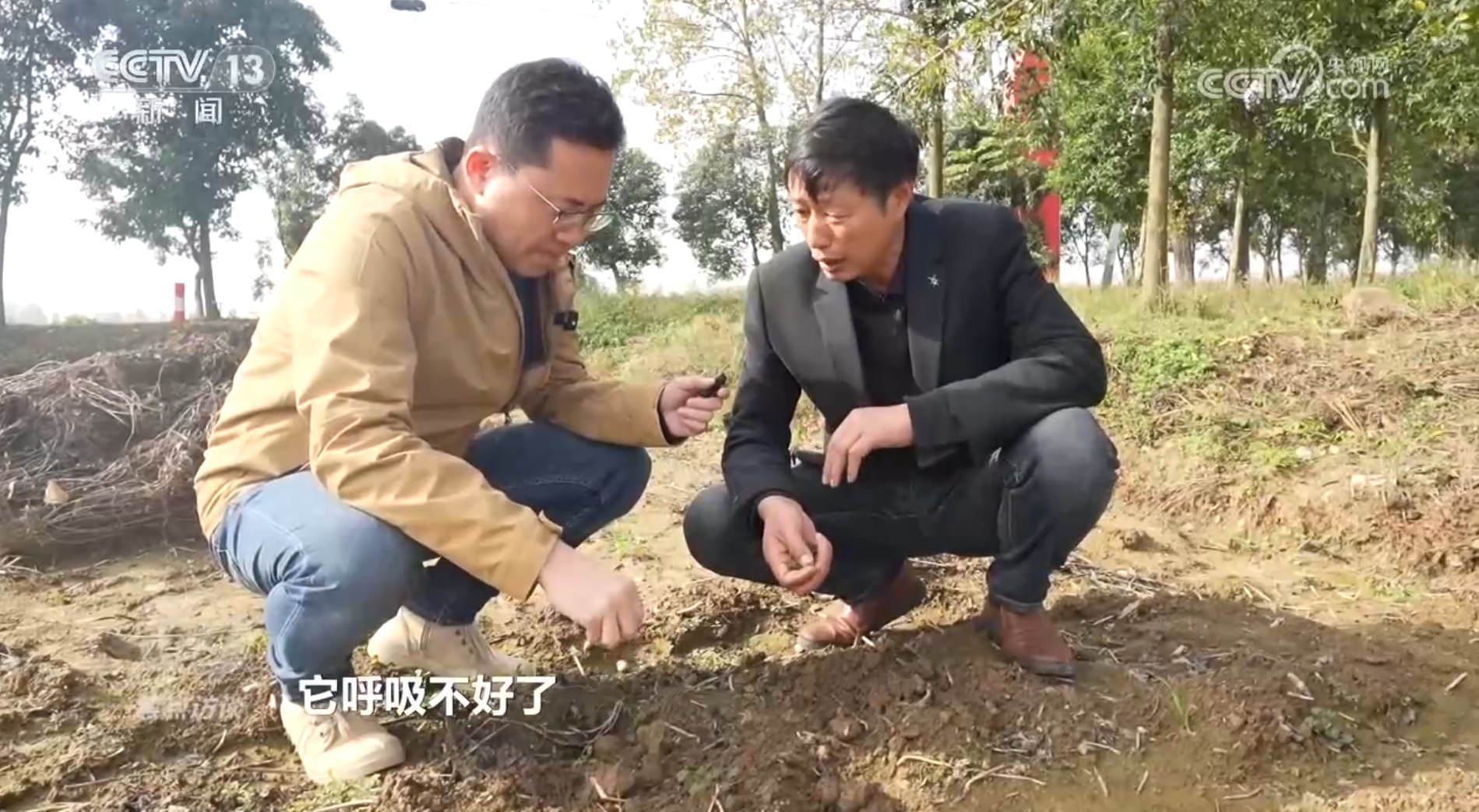 争分夺秒保秋粮、稳丰收