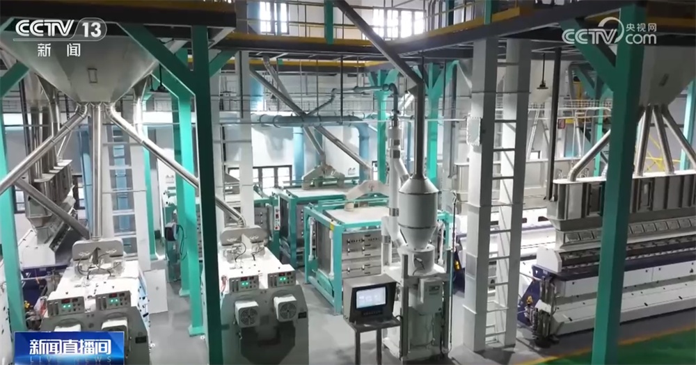 “铁海联运”“黄金水道”按下秋粮运输“加速键” 为全国粮食安全筑牢坚实屏障 “铁海联运”“黄金水道”按下秋粮运输“加速键” 为全国粮食安全筑牢坚实屏障