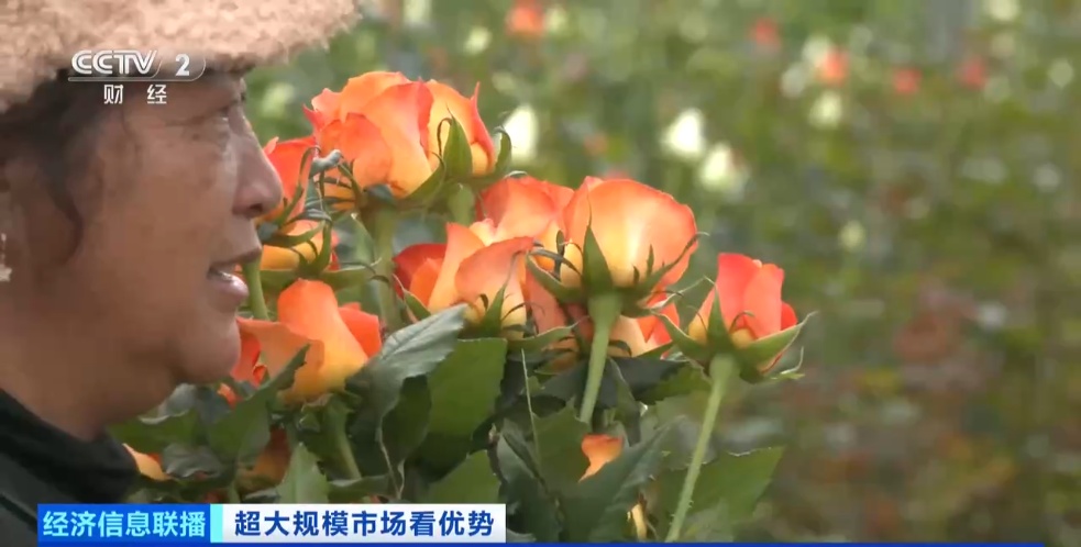 世界之最！这个超大规模市场，加速狂飙→