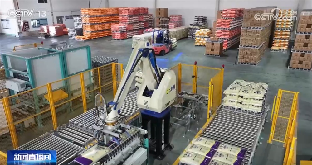 “铁海联运”“黄金水道”按下秋粮运输“加速键” 为全国粮食安全筑牢坚实屏障 “铁海联运”“黄金水道”按下秋粮运输“加速键” 为全国粮食安全筑牢坚实屏障