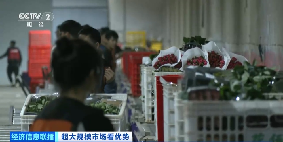 世界之最！这个超大规模市场，加速狂飙→