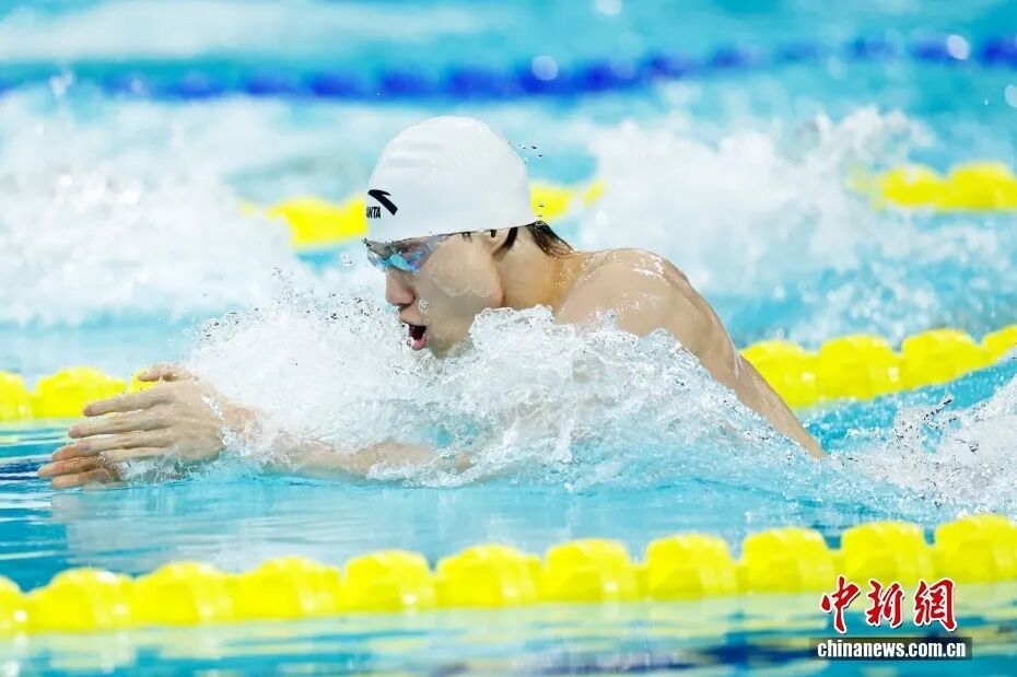 游泳比赛，真的可以用狗刨？