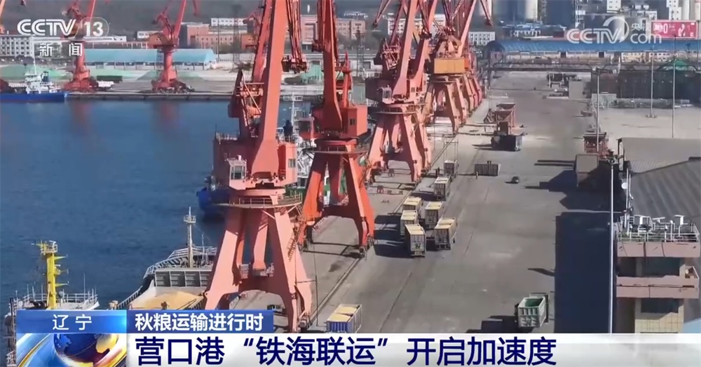 “铁海联运”“黄金水道”按下秋粮运输“加速键” 为全国粮食安全筑牢坚实屏障 “铁海联运”“黄金水道”按下秋粮运输“加速键” 为全国粮食安全筑牢坚实屏障