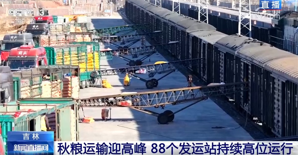 “铁海联运”“黄金水道”按下秋粮运输“加速键” 为全国粮食安全筑牢坚实屏障 “铁海联运”“黄金水道”按下秋粮运输“加速键” 为全国粮食安全筑牢坚实屏障