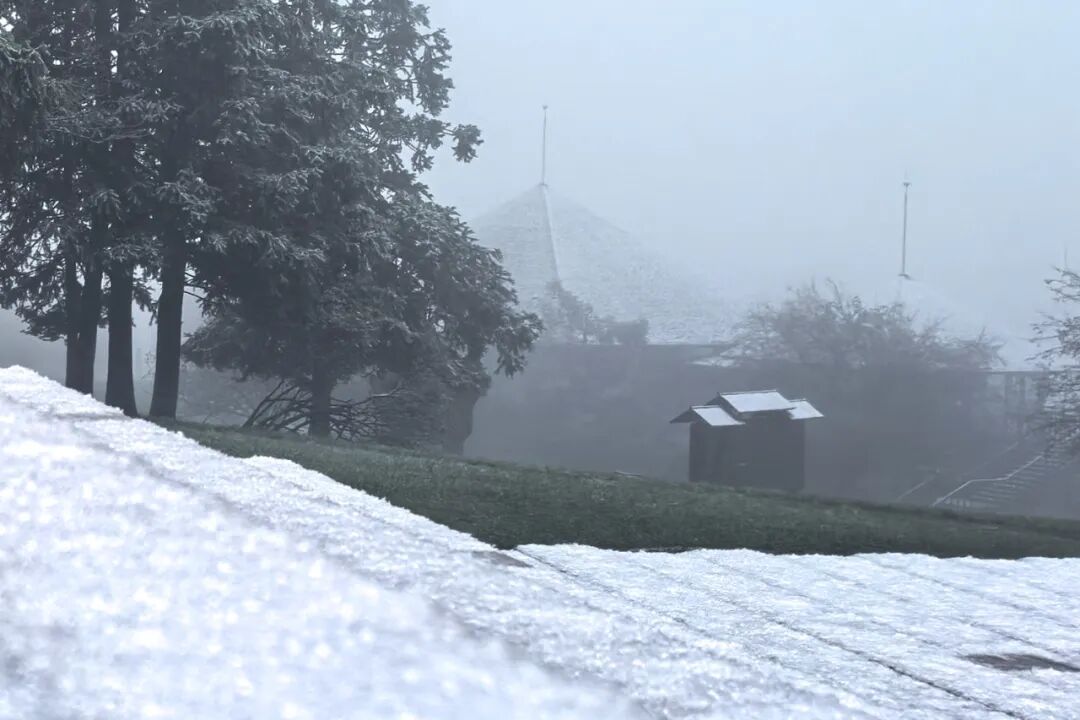 今日小雪 | 霜雪初降，你的冬日浪漫已上线